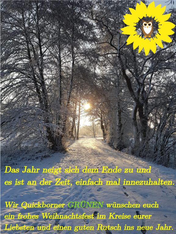 Wir wünschen euch frohe Weihnachten und einen guten Rutsch ins neue Jahr!